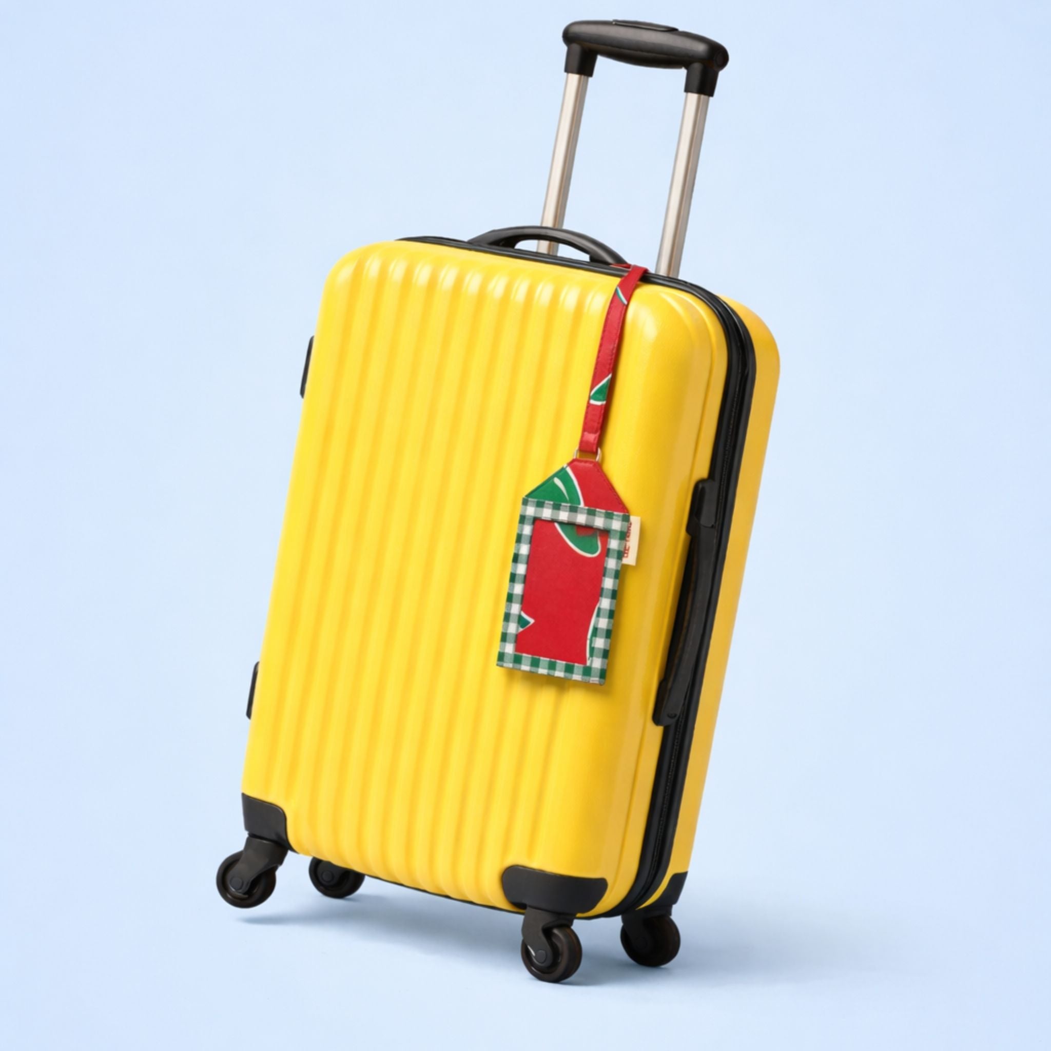 Identificador  de Maleta Colorido Reciclado